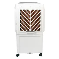 https://let.com.np/public/200-200/files/F320F8FD8FDA63A-back.jpg